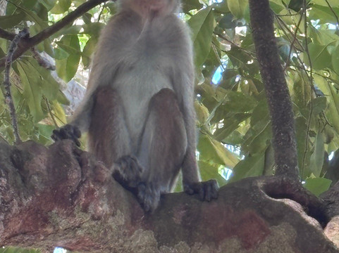 Secret Ceylon Tours & Travels-瓦勒迦玛必去景点