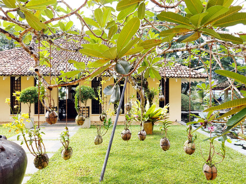 Luxurious Lanka-Ekala必去景点