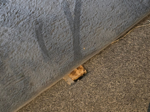 The Sea Lounge主图