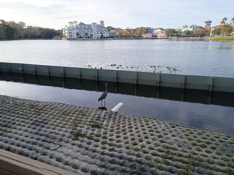 Lake Rianhard-Celebration必去景点