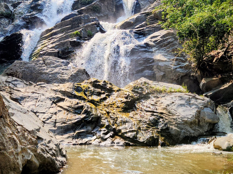 Pon Elephant Thailand-清迈必去景点