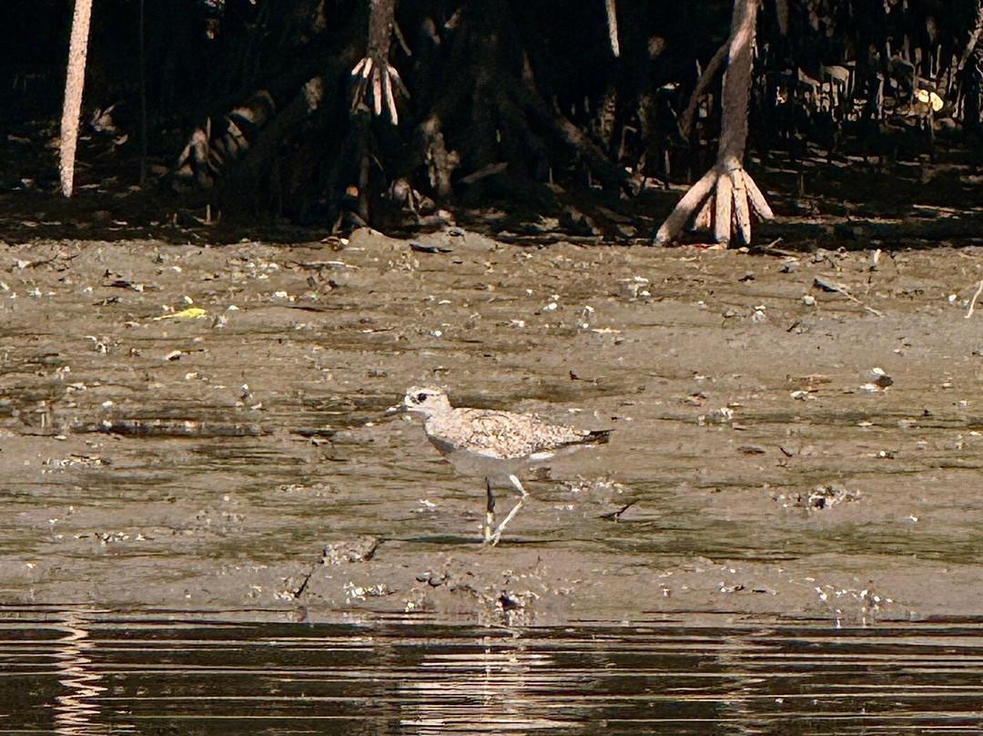 Epic Adventures Costa Rica-哥斯达黎加安东尼奥国家公园必去景点