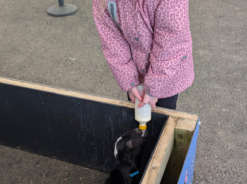 Piglets Adventure Farm-约克必去景点