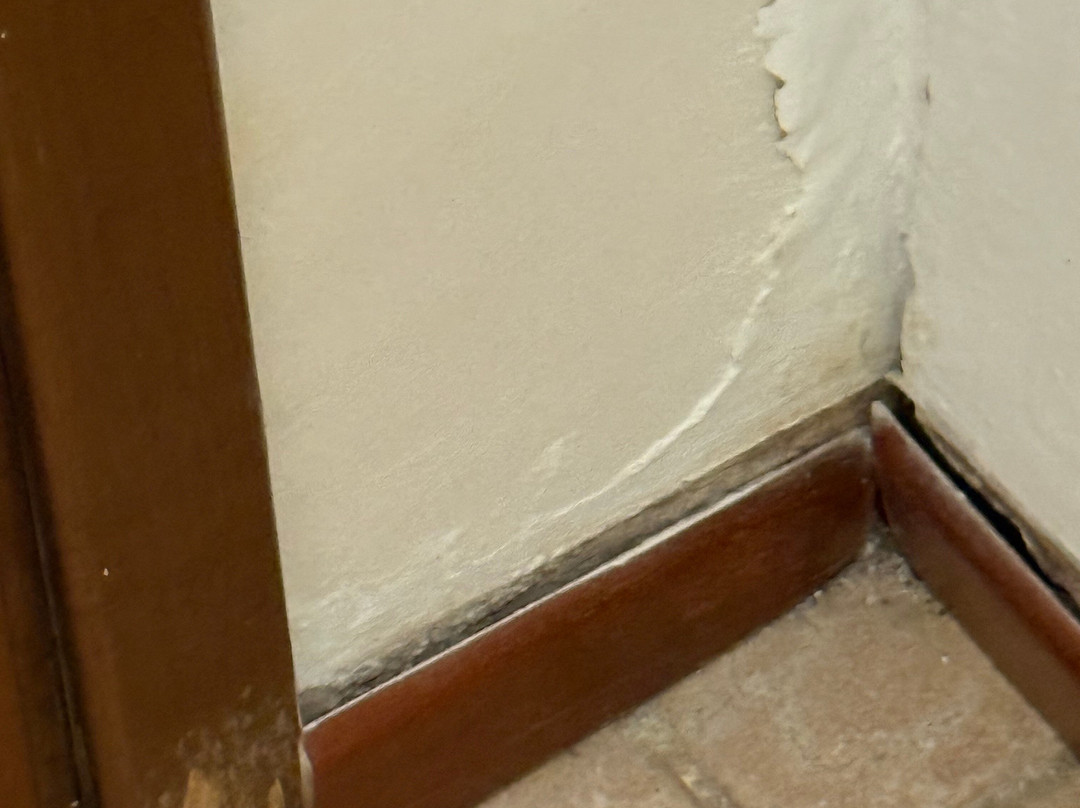 阿尔贝格克罗瑟乐餐厅旅馆主图