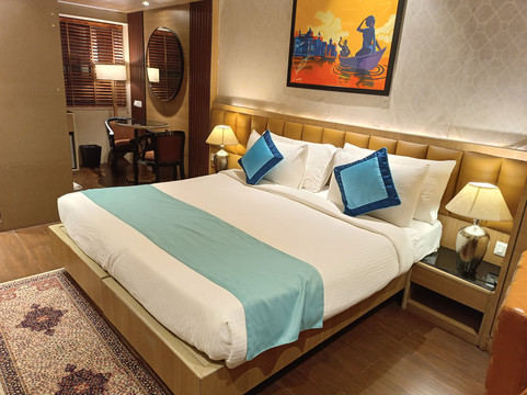 Vatika Premier Hotel主图