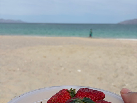 Punta Arena de la Ventana-拉巴斯必去景点