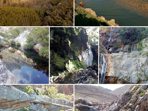 Steenbras River Gorge-高登湾必去景点