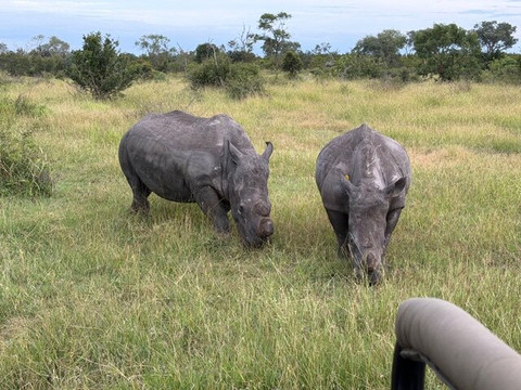 Wild Things Africa-开普敦中心区必去景点