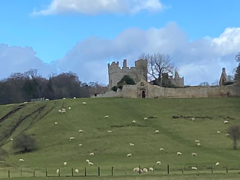 Hulne Park-阿尼克必去景点