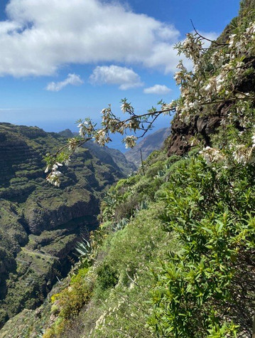 WalkingWomen-英格兰必去景点