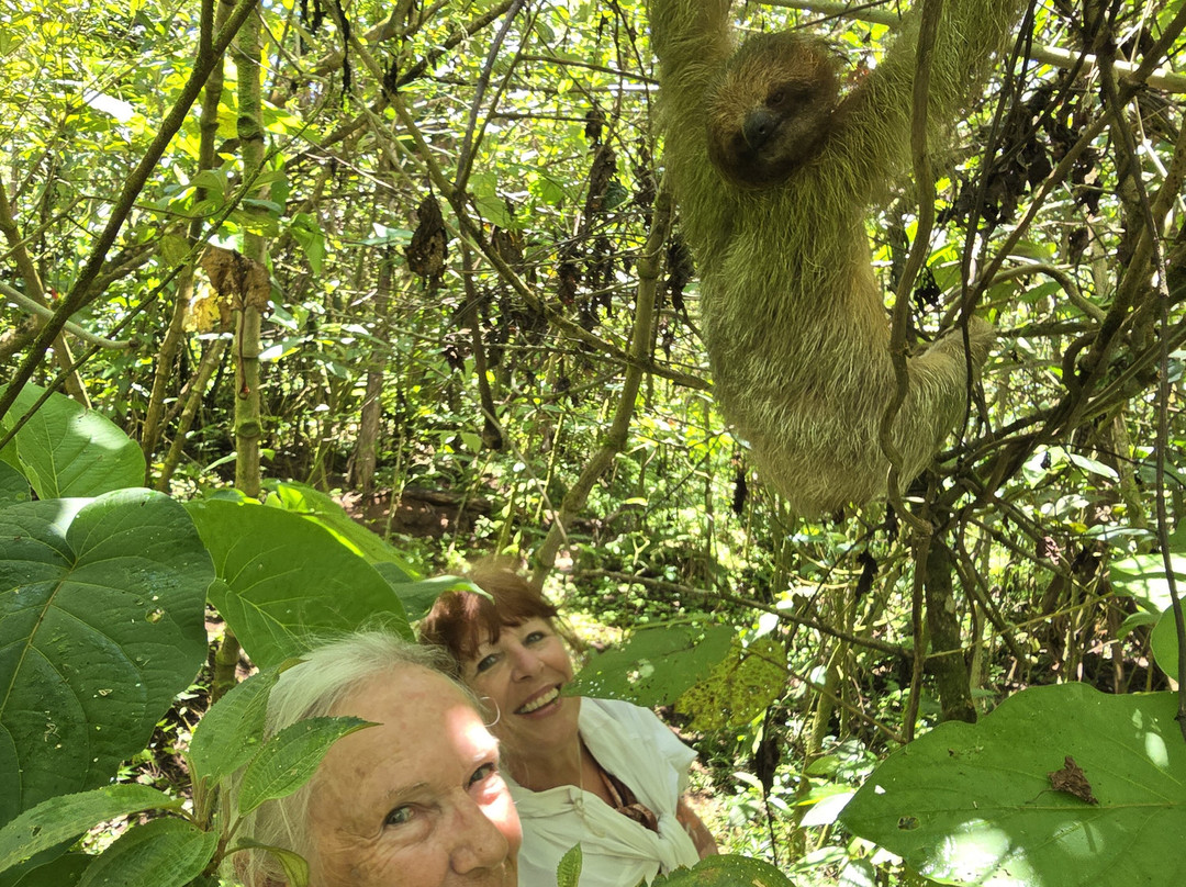 Memo Adventures Pura Vida In Costa Rica-Playas del Coco必去景点