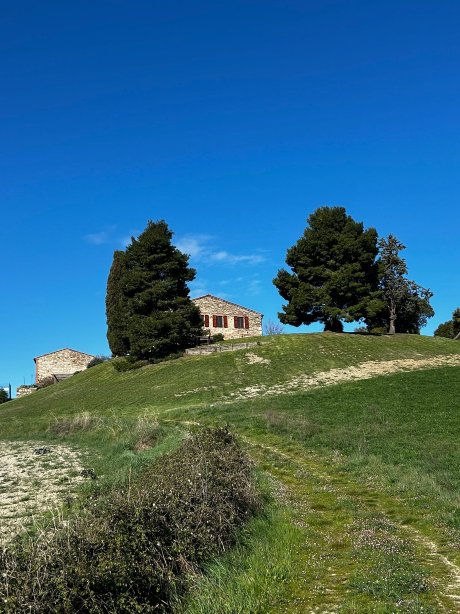 帕萨拉奎农庄酒店-官方