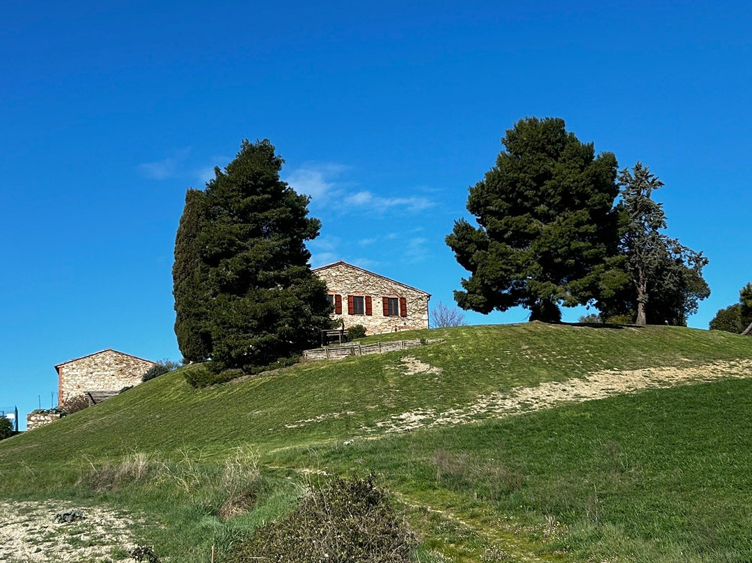 帕萨拉奎农庄酒店主图