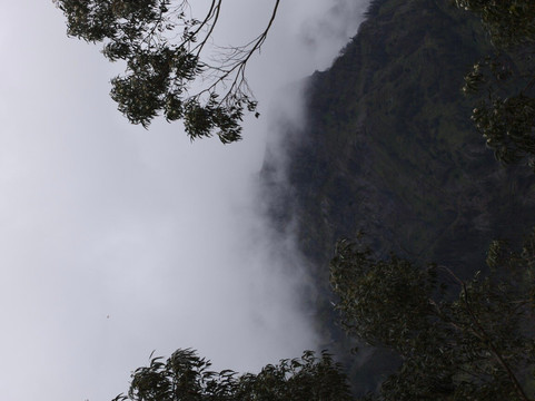 Madeira Wonder Hikes-沙尔必去景点