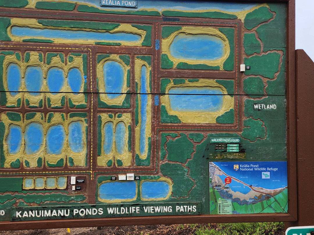 Kealia Pond National Wildlife Refuge-基黑必去景点