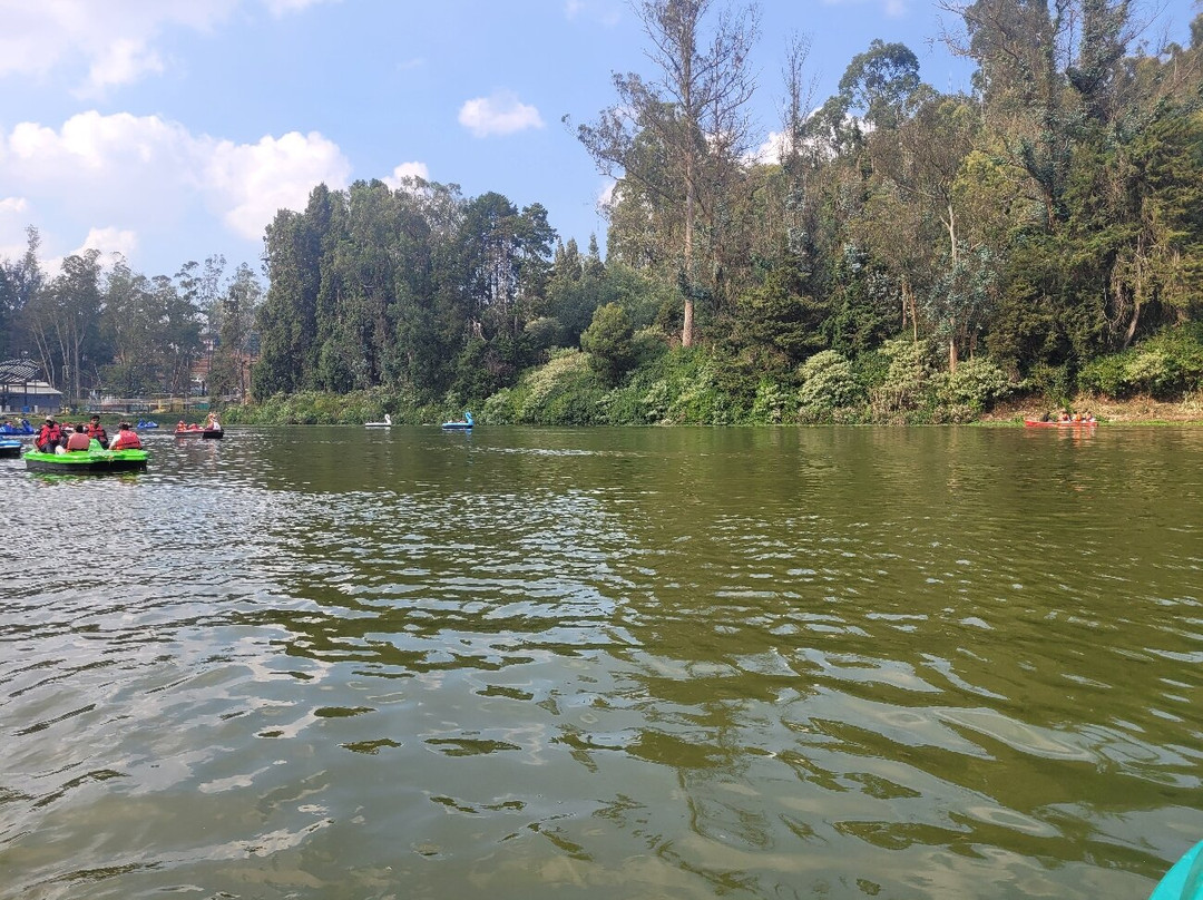 Ooty Lake-乌提必去景点