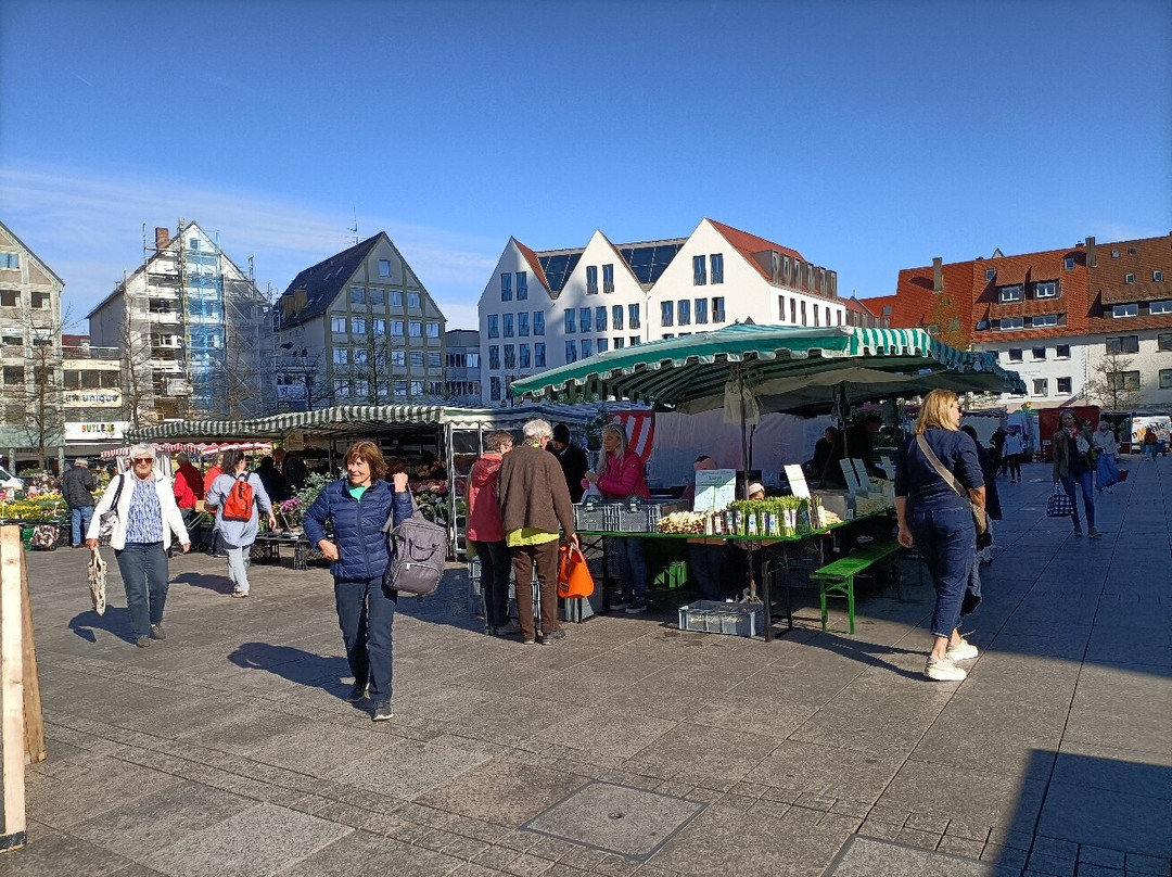 Ulmer Wochenmarkt-乌尔姆必去景点