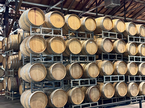 Bodega Los Toneles-门多萨必去景点