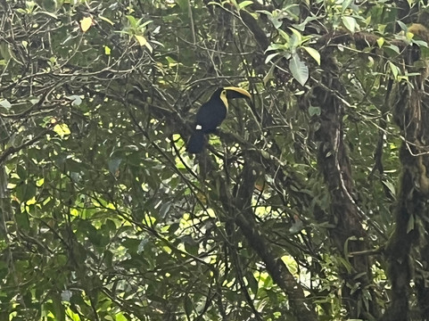 NexusTours-圣何塞必去景点