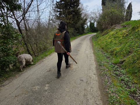 Fattoria Collebrunacchi-圣米尼亚托必去景点