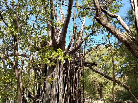Royal Eagle-Le Robert必去景点