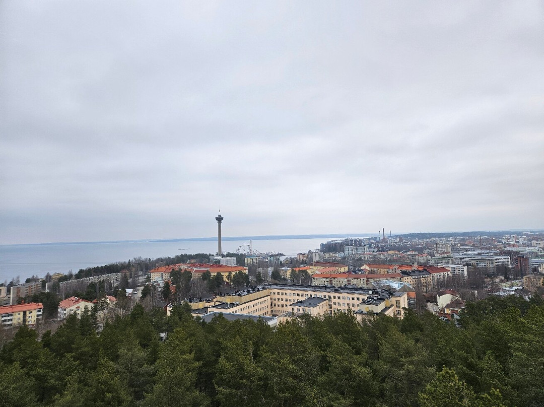 皮尼奇公园与瞭望塔-坦佩雷必去景点