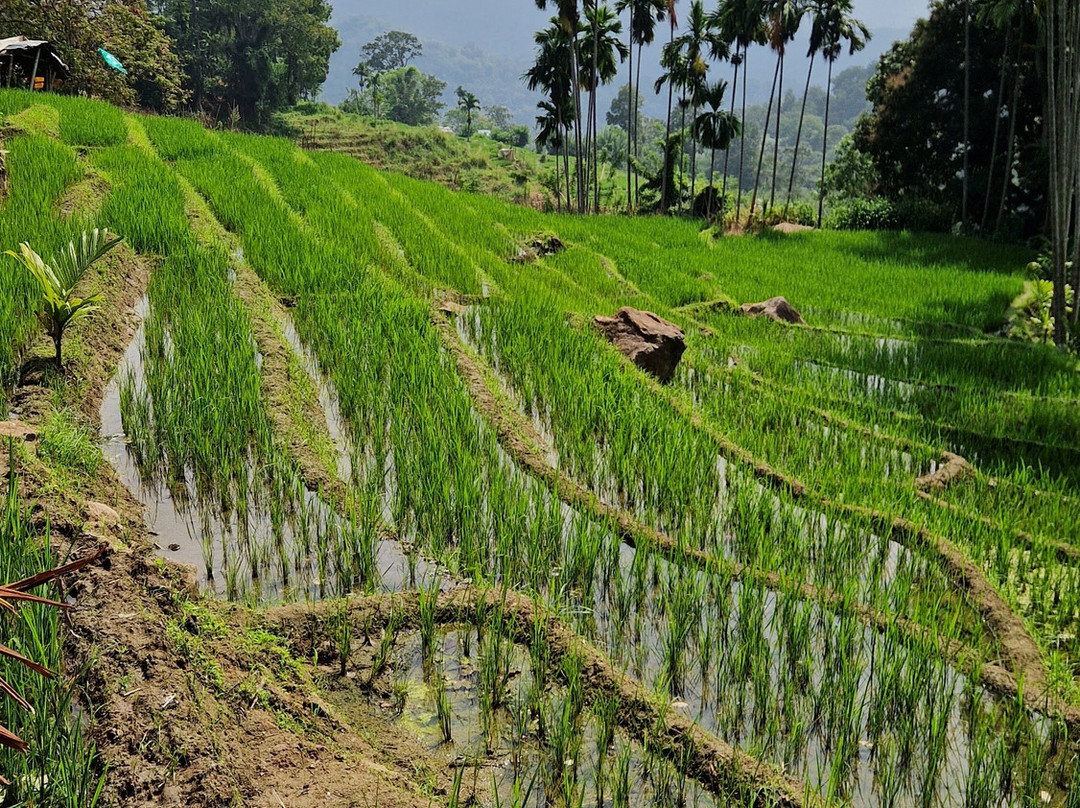 Voyager Sri Lanka by S. P. PATHIRANA (PVT) LTD-Maharagama必去景点