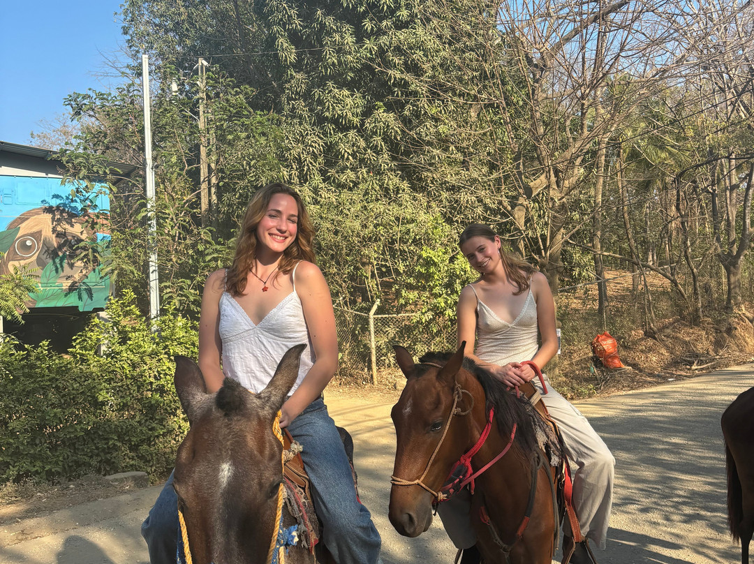 Guti Tours-Playa Avellanas必去景点