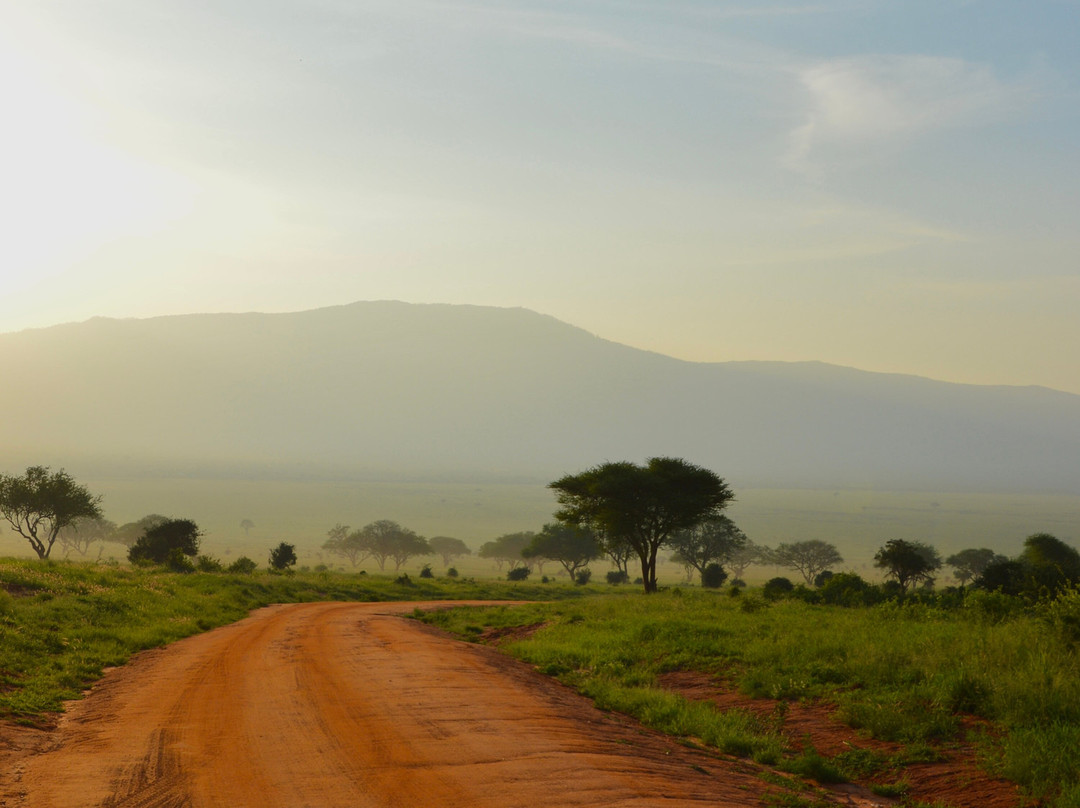 Safari Lenana-瓦塔木必去景点
