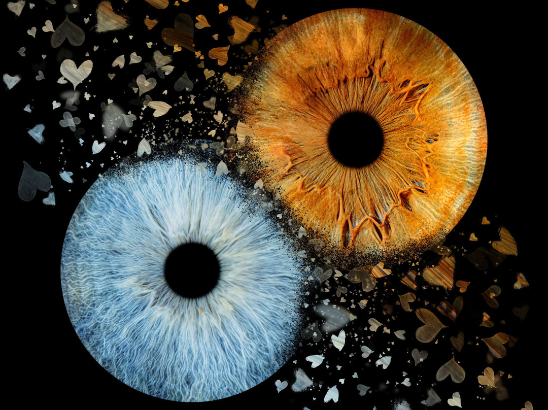 Iris Galerie Utrecht-乌特勒支必去景点