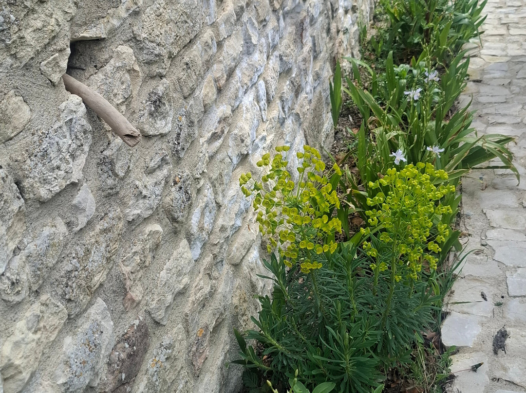 Chateau des Hospitaliers-Le Poet-Laval必去景点