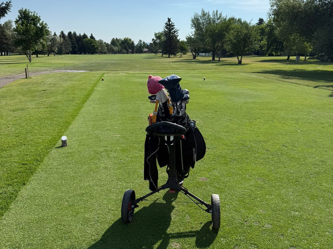 Olive Glenn Golf Course-科迪必去景点