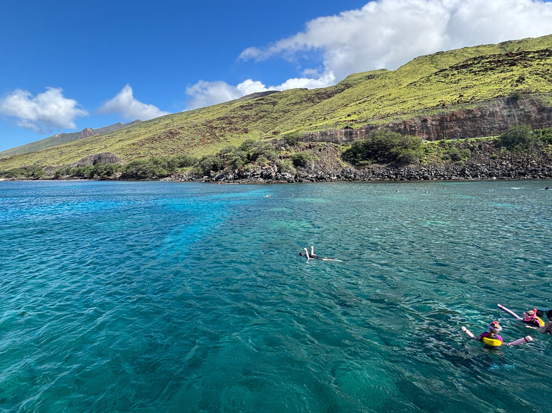 Maui Snorkeling-玛阿拉也亚必去景点