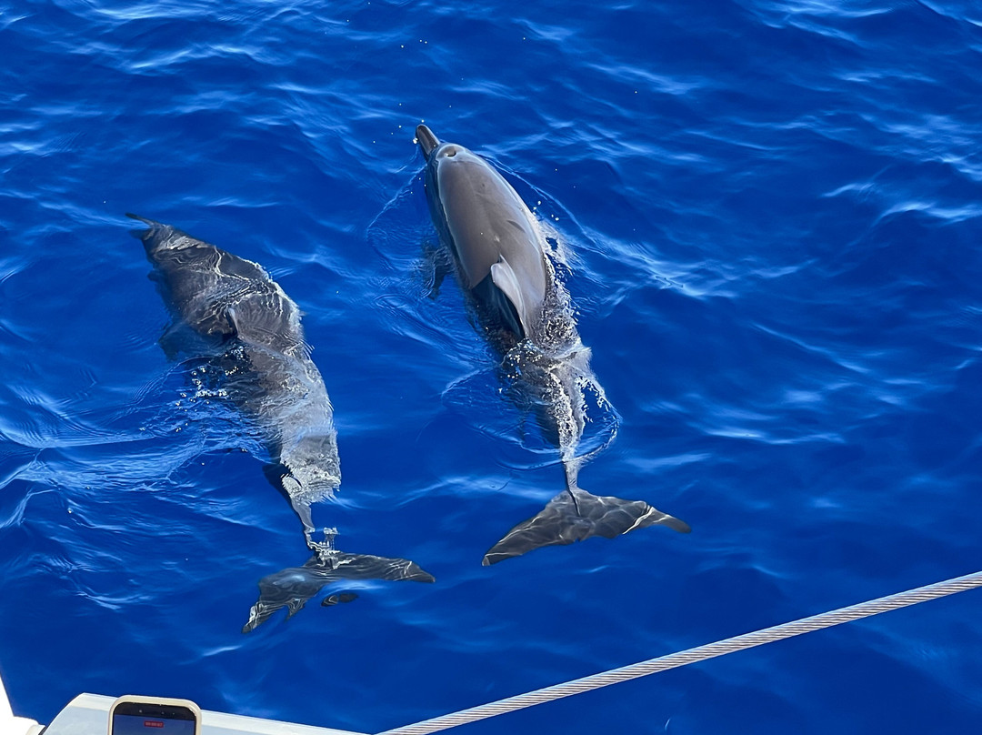 Lady La Fee-圣吉尔莱班必去景点