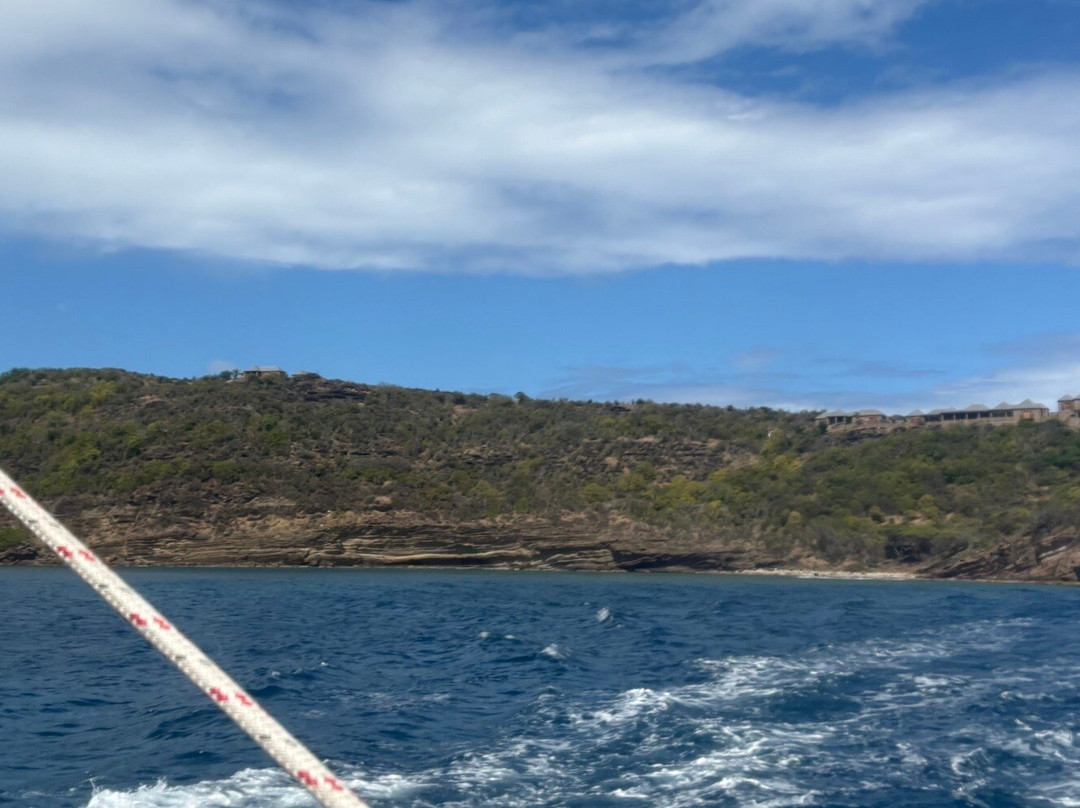 Wadadli Cats-安提瓜必去景点