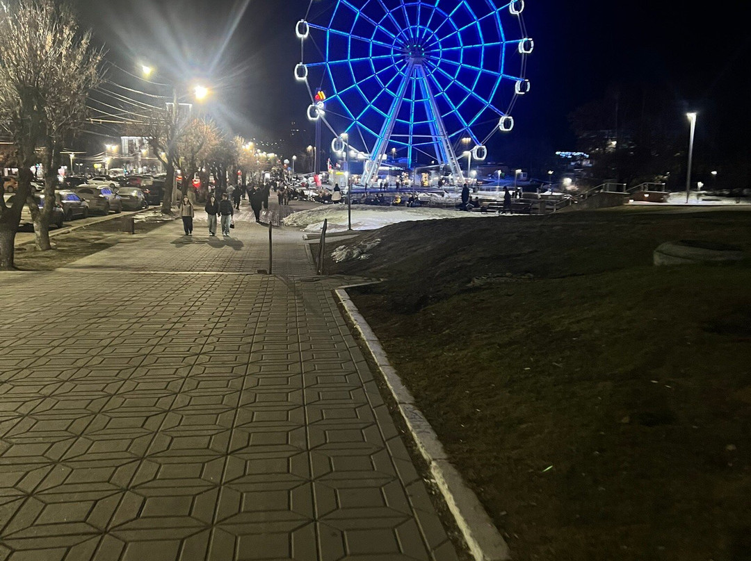 Ferris Wheel Dymkovskaya Radost-基洛夫必去景点