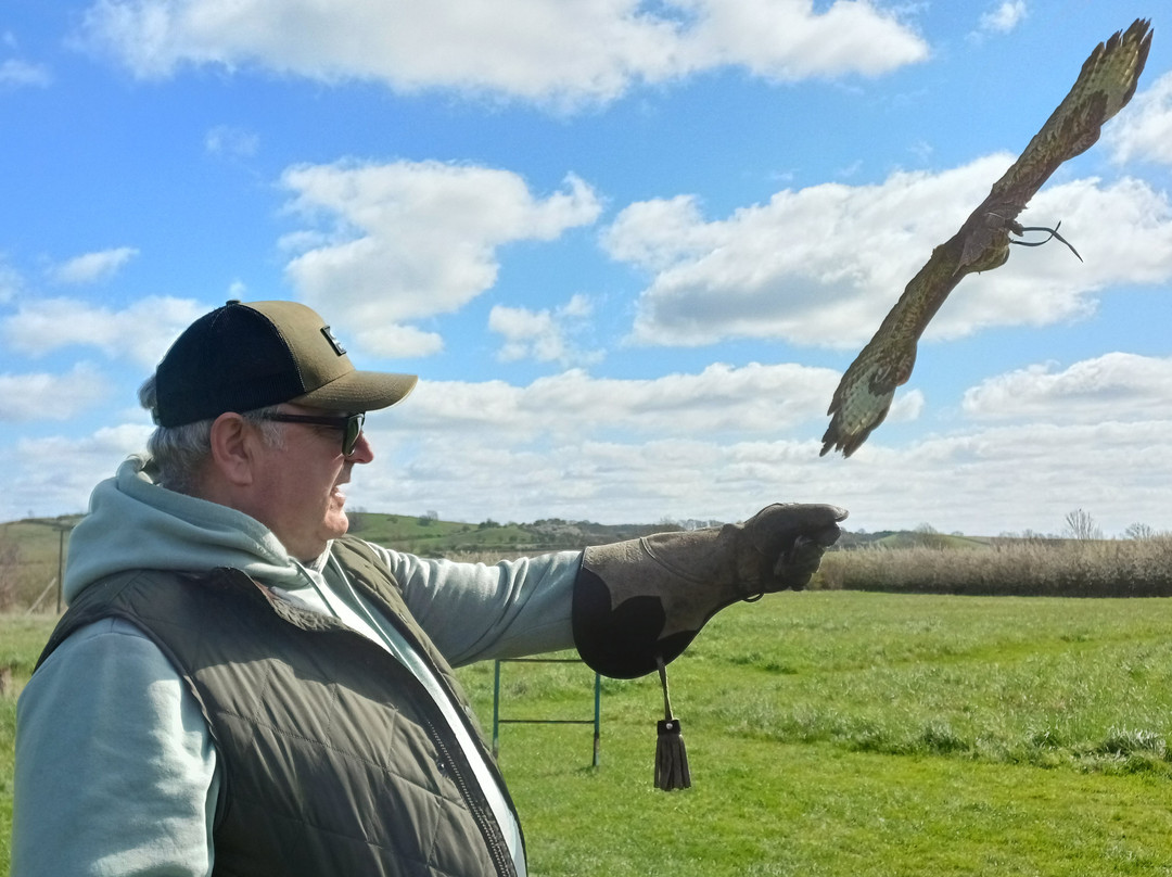 Bird on the Hand Falconry Experiences-Church Langton必去景点