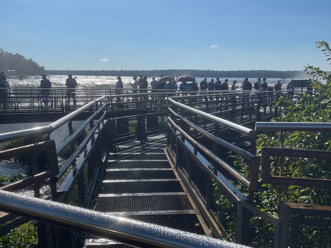 Iguazu Jungle-伊瓜苏港必去景点