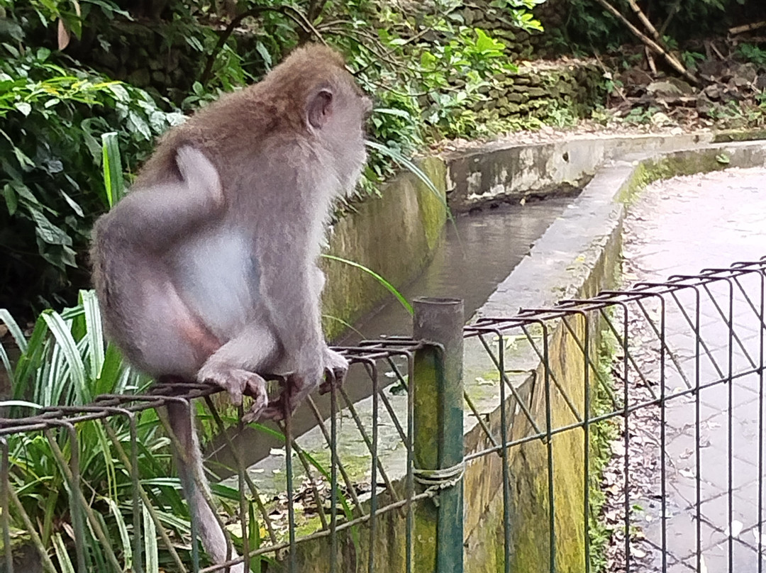 Tour Guide Bali-库塔必去景点
