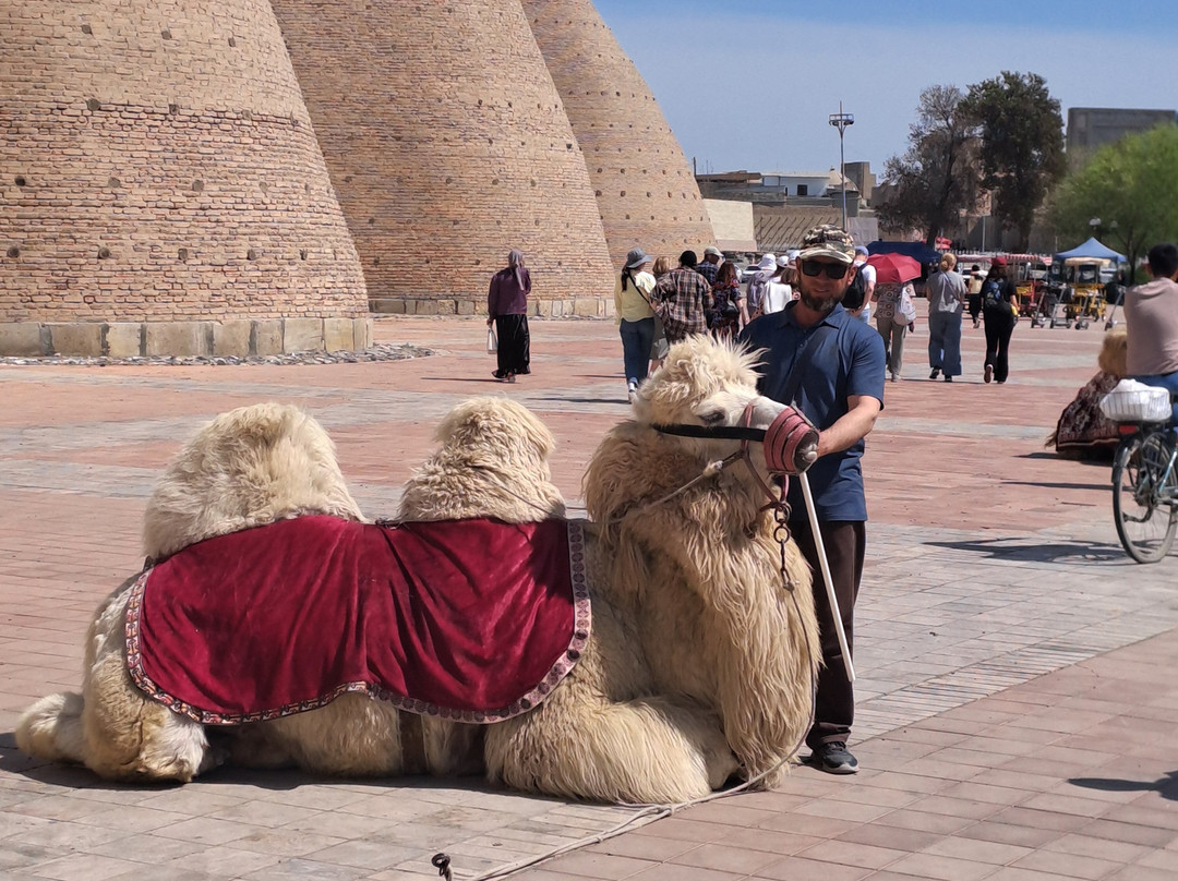 Canaan Travel-塔什干必去景点