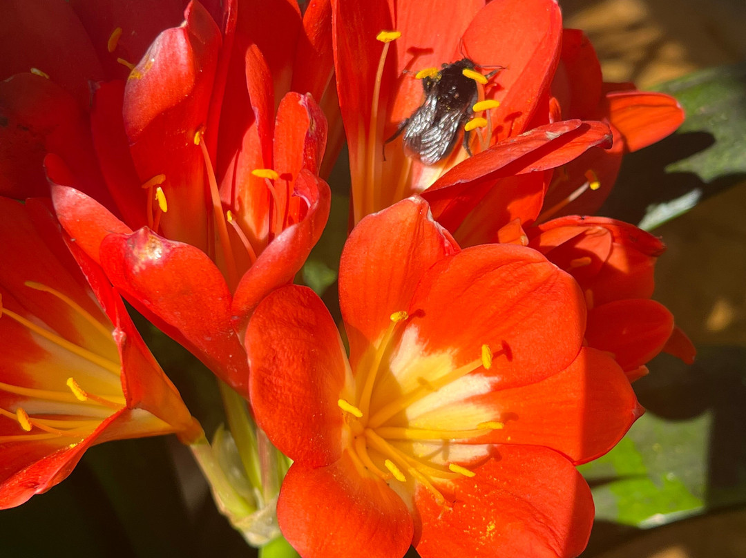 Mapperton House, Gardens & Wildlands-Mapperton必去景点