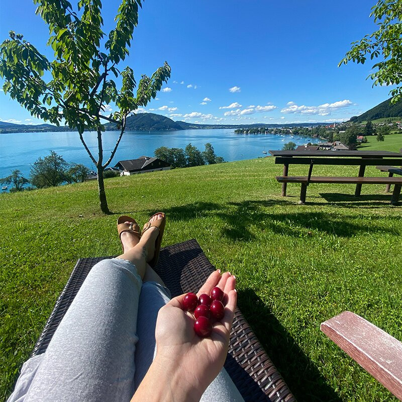 Ferienwohnungen Blick am See