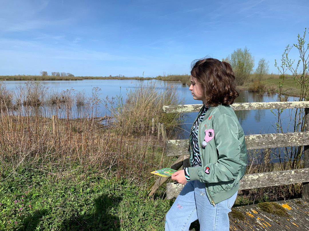 Tiengemeten-Zuid-Beijerland必去景点