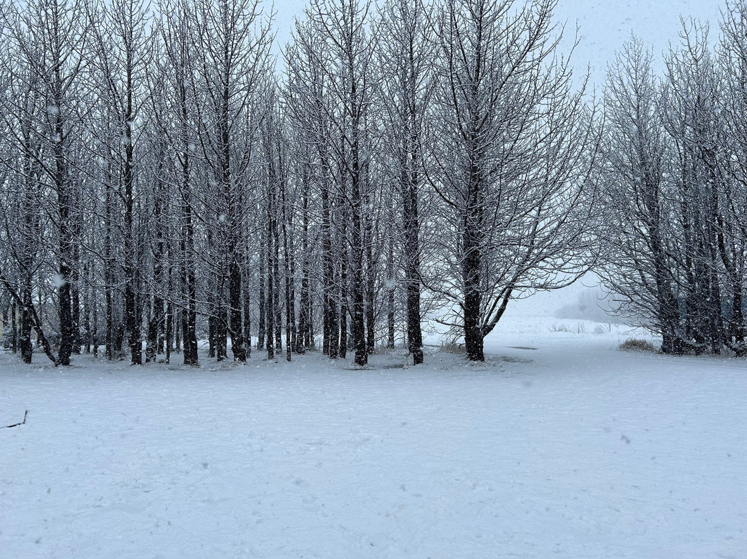 哈亚达布尔酒店主图