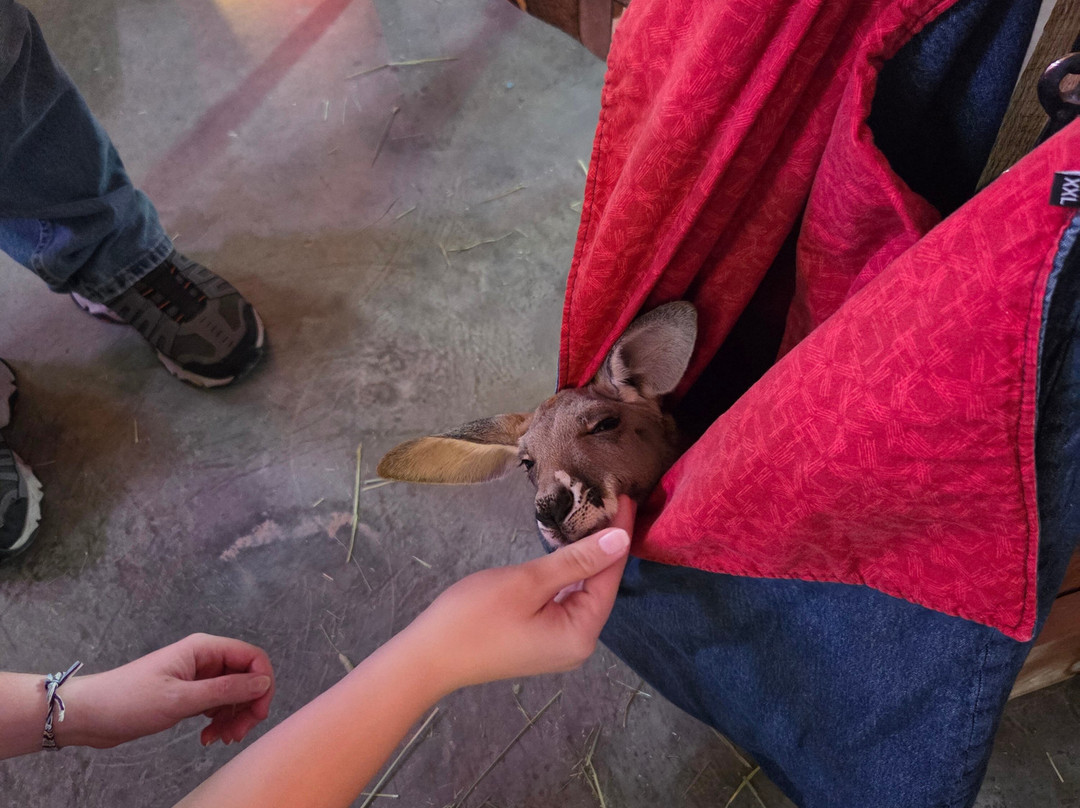 Blue Hills Ranch-McGregor必去景点