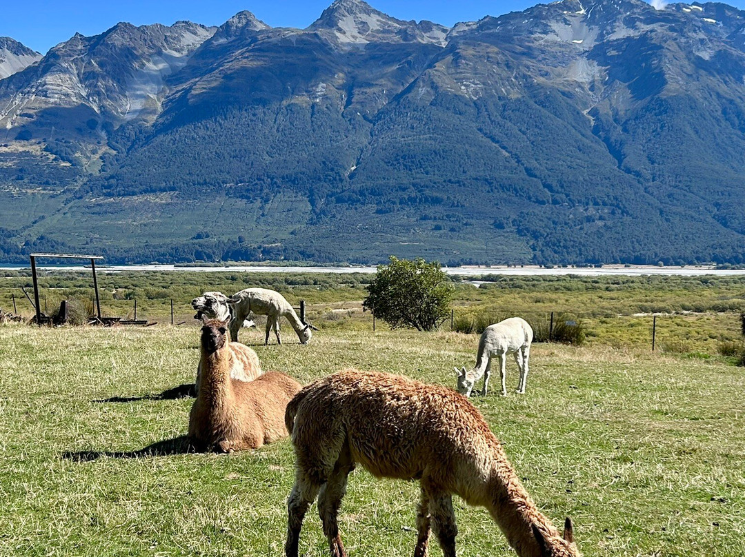 Glenorchy Animal Experience-格伦诺基必去景点
