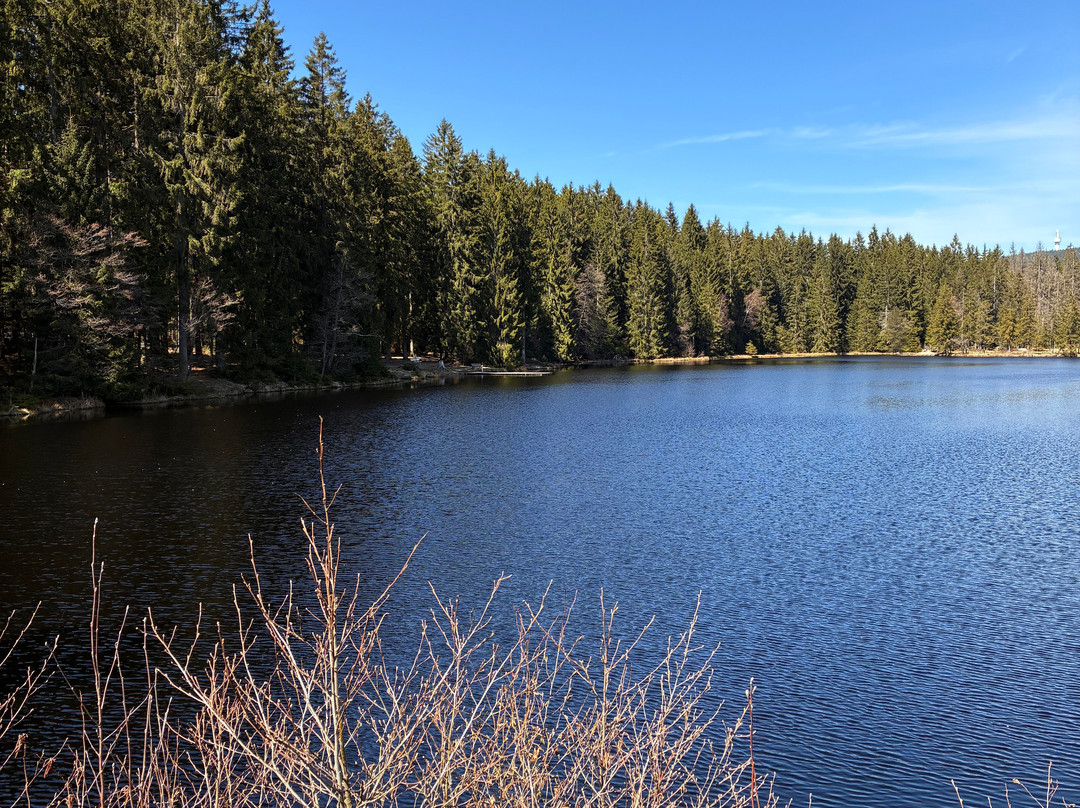 Naherholungszentrum Fichtelsee-Fichtelberg必去景点