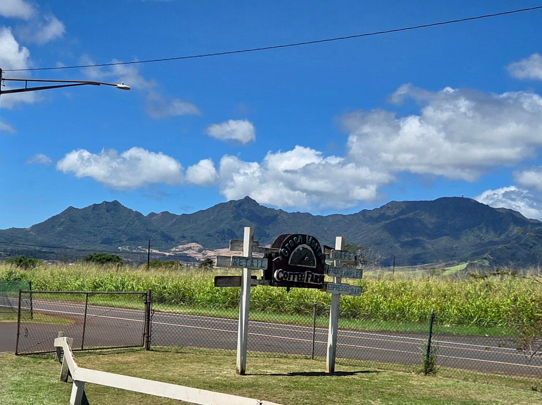 Green World Coffee Farms-瓦西瓦必去景点