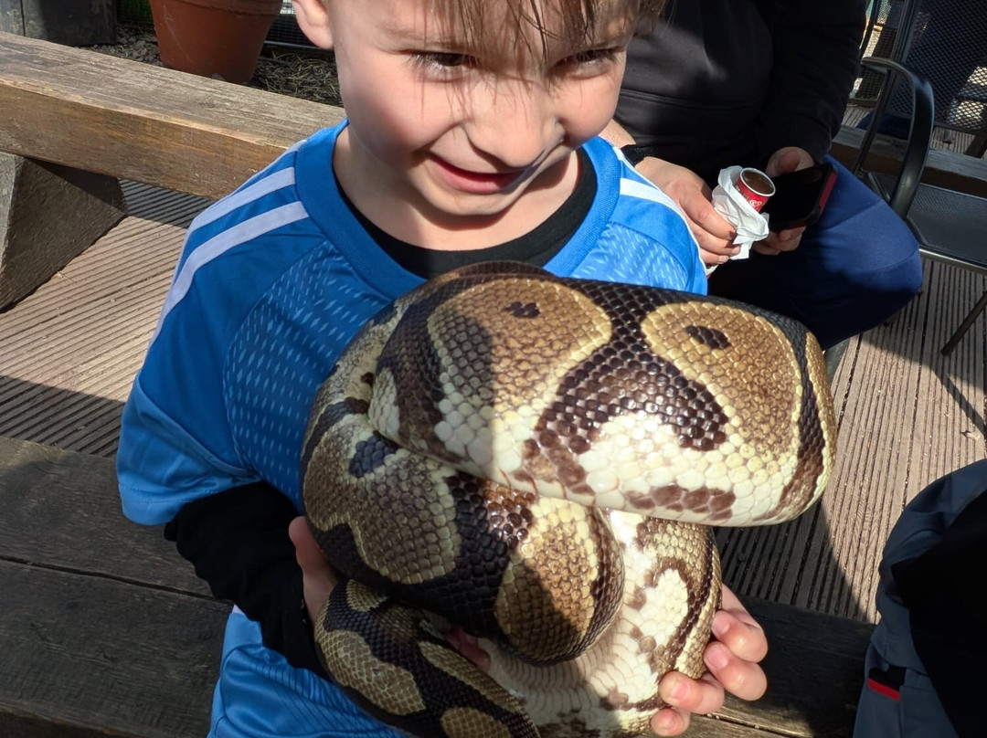 Promenade Park Petting Zoo-Maldon必去景点