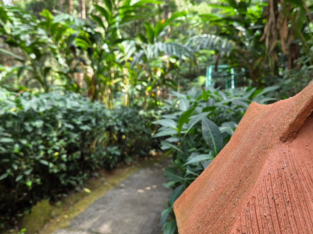 蒙纳大树酒店主图